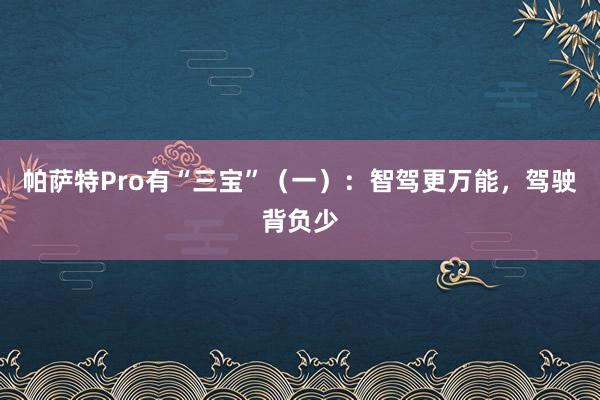 帕萨特Pro有“三宝”（一）：智驾更万能，驾驶背负少