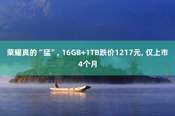 荣耀真的“猛”, 16GB+1TB跌价1217元, 仅上市4个月