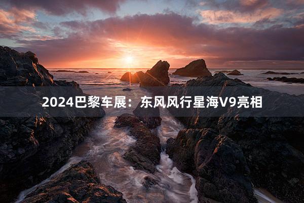 2024巴黎车展：东风风行星海V9亮相