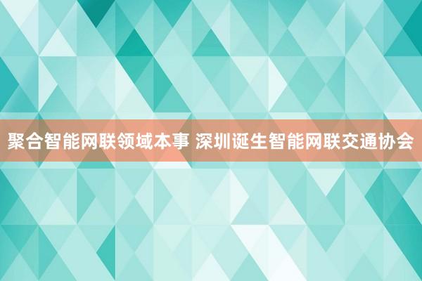 聚合智能网联领域本事 深圳诞生智能网联交通协会