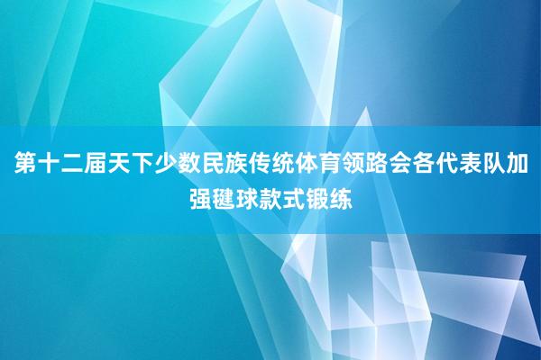 第十二届天下少数民族传统体育领路会各代表队加强毽球款式锻练