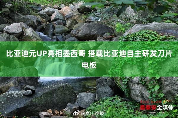 比亚迪元UP亮相墨西哥 搭载比亚迪自主研发刀片电板