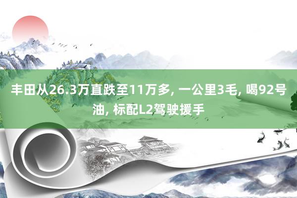 丰田从26.3万直跌至11万多, 一公里3毛, 喝92号油, 标配L2驾驶援手